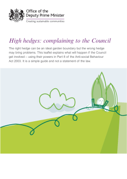 High hedges: complaining to the Council