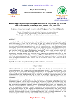 Promising plant growth promoting rhizobacteria of