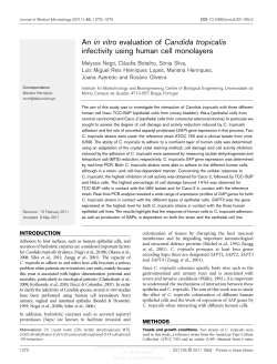 An in vitro evaluation of Candida tropicalis infectivity using human