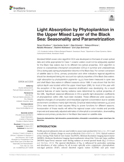 Light Absorption by Phytoplankton in the Upper Mixed Layer of the