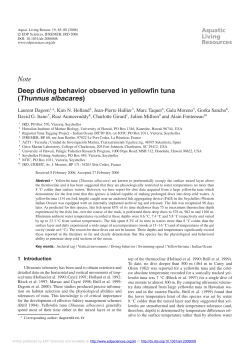 Deep diving behavior observed in yellowfin tuna \(Thunnus