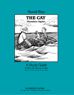 Novel&bull;Ties A Study Guide