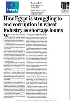 How Egypt is struggling to end corruption in wheat industry as
