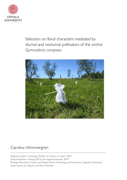 Selection on floral characters mediated by diurnal and nocturnal