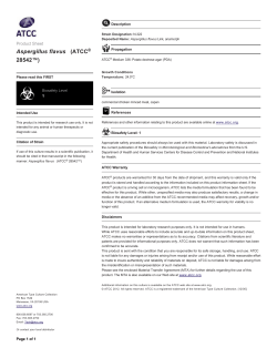 Aspergillus flavus (ATCC&reg; 28542&trade;)
