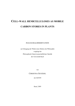 cell-wall hemicelluloses as mobile carbon stores in plants