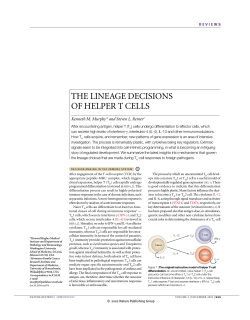 the lineage decisions of helper t cells
