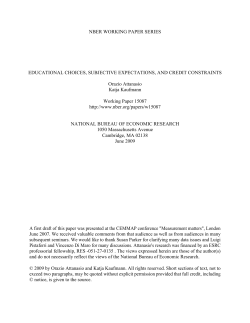 Educational Choices, Subjectives Expectations, and Credit Constraints