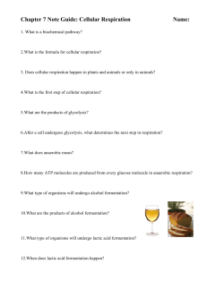 Chapter 7 Note Guide: Cellular Respiration Name: