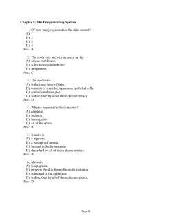 Chapter 5: The Integumentary System