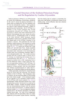 Crystal Structure of the Sodium-Potassium Pump and Its - SPring-8