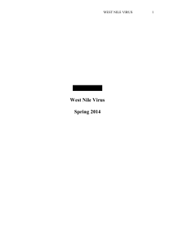 Paper - Lone Star College