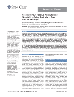 Concise Review: Reactive Astrocytes and Stem Cells in Spinal Cord