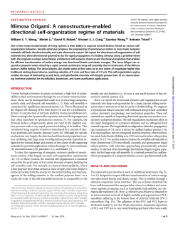 Mimosa Origami: A nanostructure
