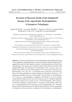 Revision of Mesozoic fossils of the helophorid lineage of the