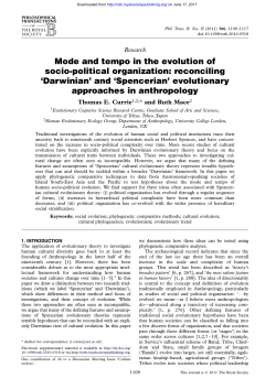 Mode and tempo in the evolution of socio