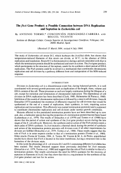 The ftsA Gene Product: a Possible Connection between DNA