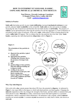 11 - Chrysalis Landscape Consultants