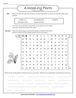 A-Maze-ing Plants - Super Teacher Worksheets