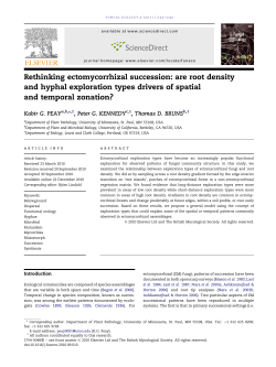 Rethinking ectomycorrhizal succession: are root density and hyphal