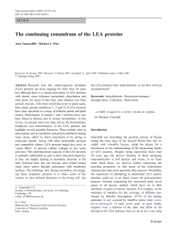 The continuing conundrum of the LEA proteins