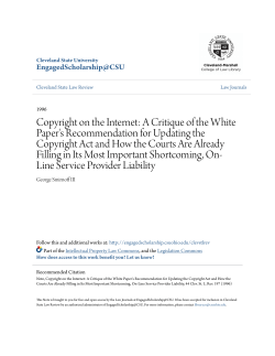 Copyright on the Internet: A Critique of the White Paper`s