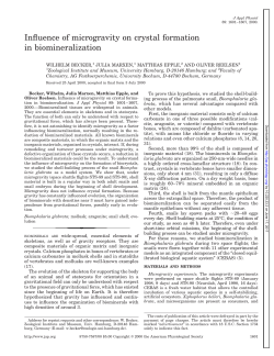 Influence of microgravity on crystal formation in biomineralization