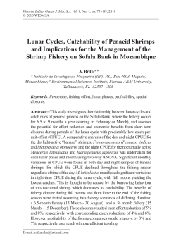 Lunar Cycles, Catchability of Penaeid Shrimps and