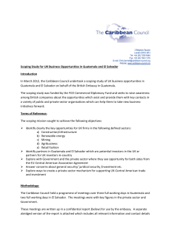 PDF - The Caribbean Council