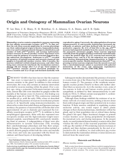 Origin and Ontogeny of Mammalian Ovarian Neurons