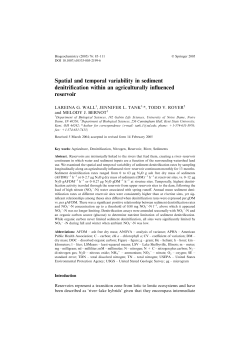 Spatial and temporal variability in sediment denitrification within an