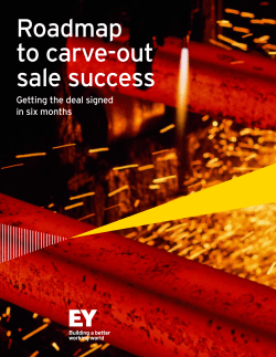 Roadmap to carve out sale success