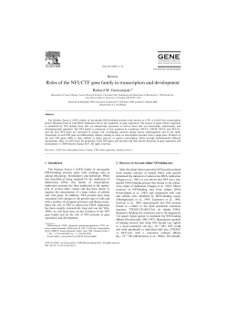 Roles of the NFI/CTF gene family in transcription and