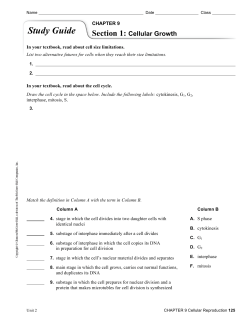 Study Guide, Section 2