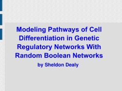 Modeling Pathways of Cell Differentiation in Genetic Regulatory