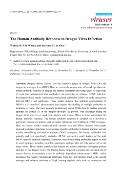 The Human Antibody Response to Dengue Virus