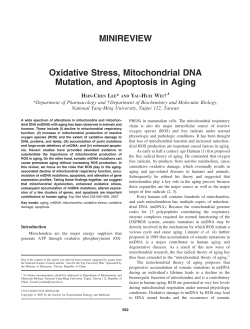 Oxidative Stress, Mitochondrial DNA Mutation, and Apoptosis in Aging