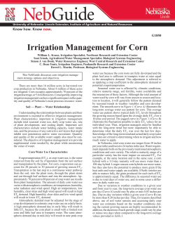 Irrigation Management for Corn