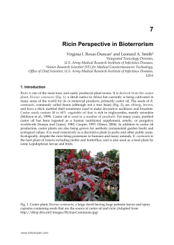 Ricin Perspective in Bioterrorism