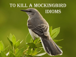To Kill A Mockingbird Idioms