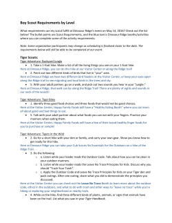 Boy Scout Requirements by Level