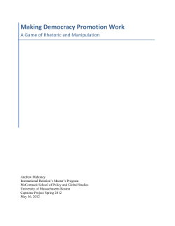 Making Democracy Promotion Work
