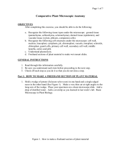 Comparative Plant Microscopic Anatomy