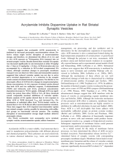 Acrylamide Inhibits Dopamine Uptake in Rat Striatal Synaptic Vesicles