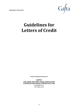 Guidelines - Letters of Credit