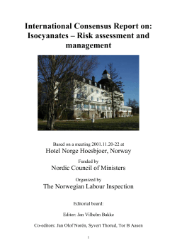 International Consensus Report on Isocyanates