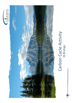 Carbon Cycle Activity IB Biology