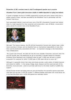 Protection of UK`s ancient trees is vital if endangered species are to