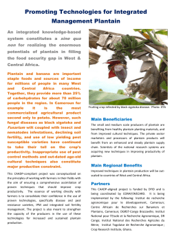 Promoting Technologies for Integrated Management Plantain