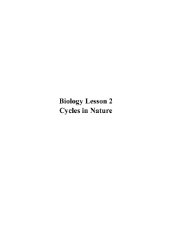 Biology Lesson 2 Cycles in Nature